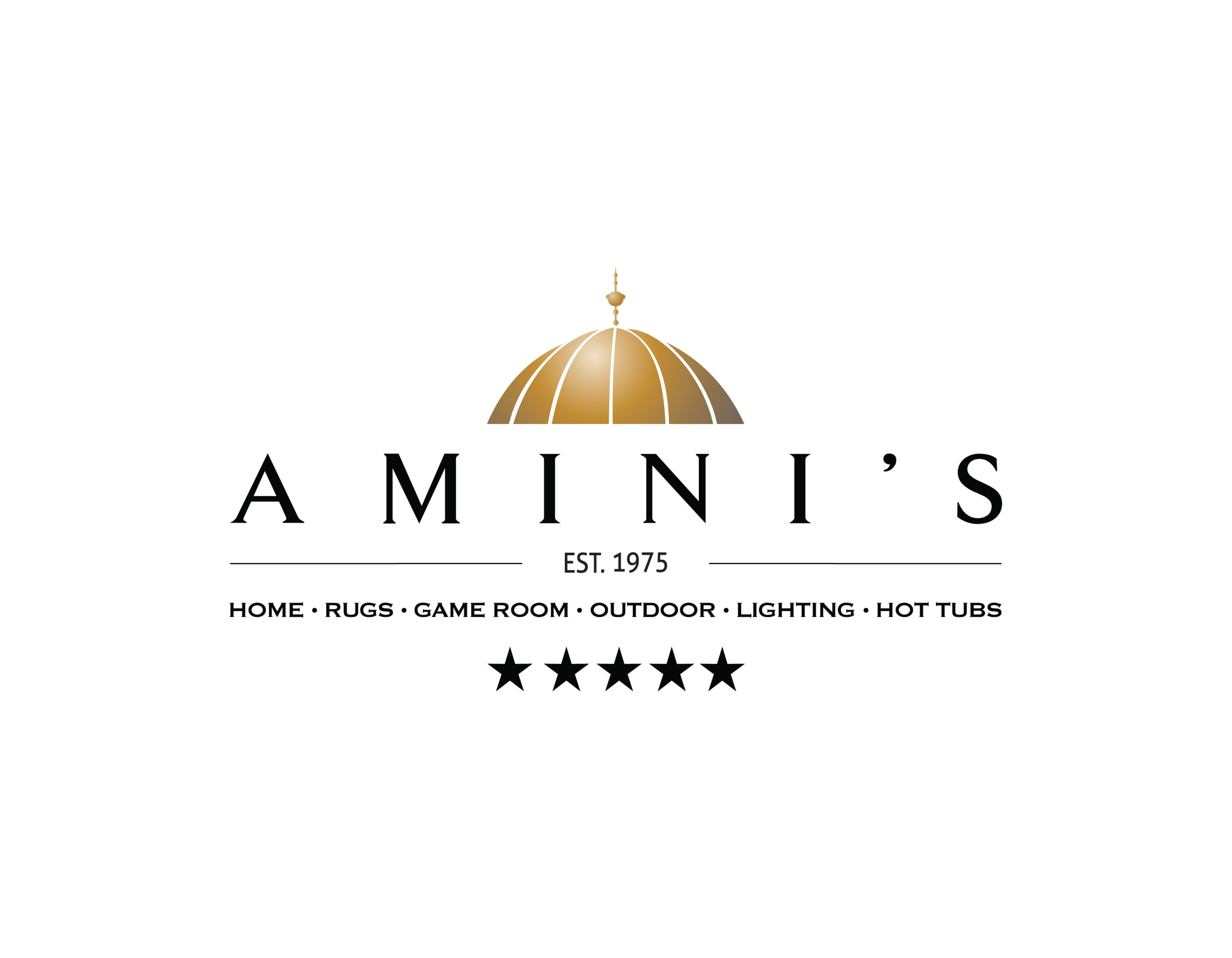 Amini's